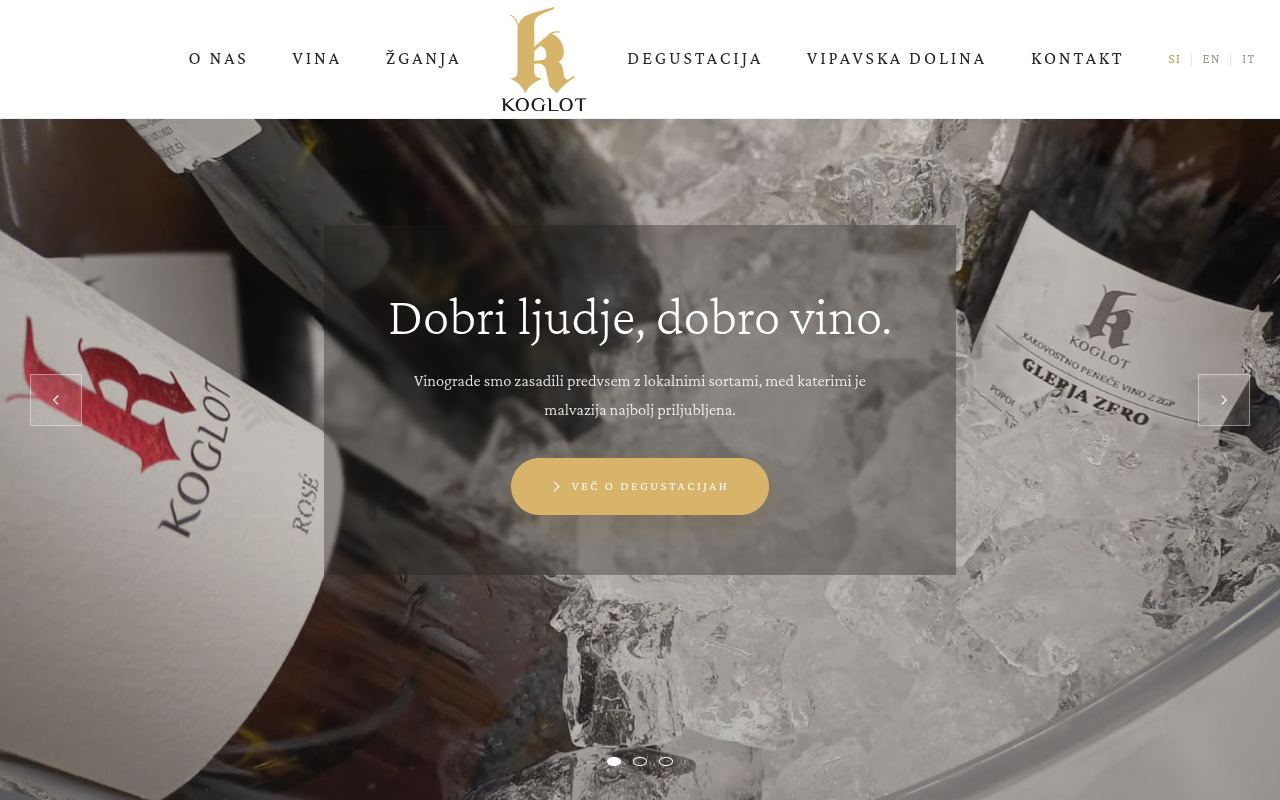 Spletna stran Vina Koglot