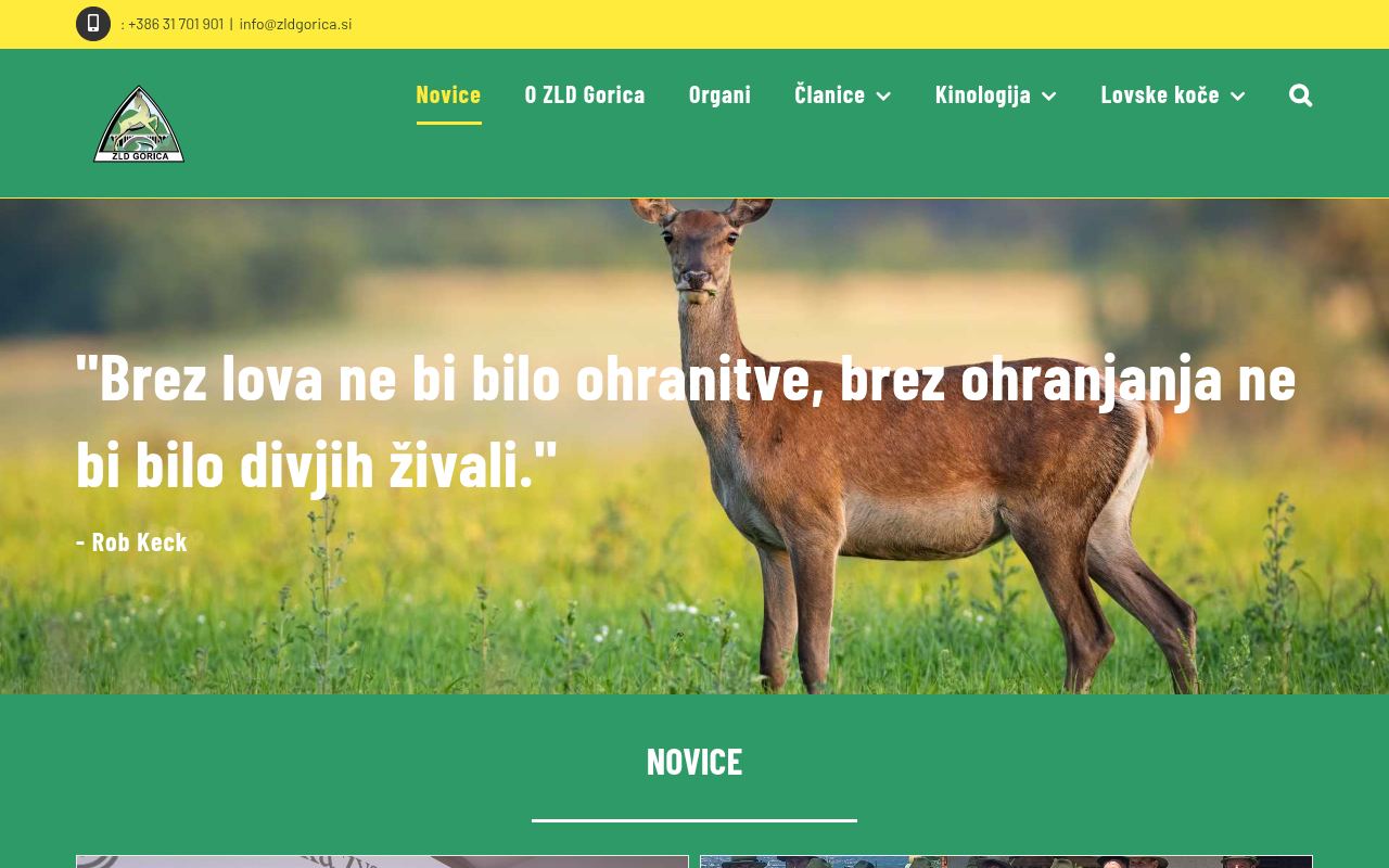 Spletna stran ZLD Gorica